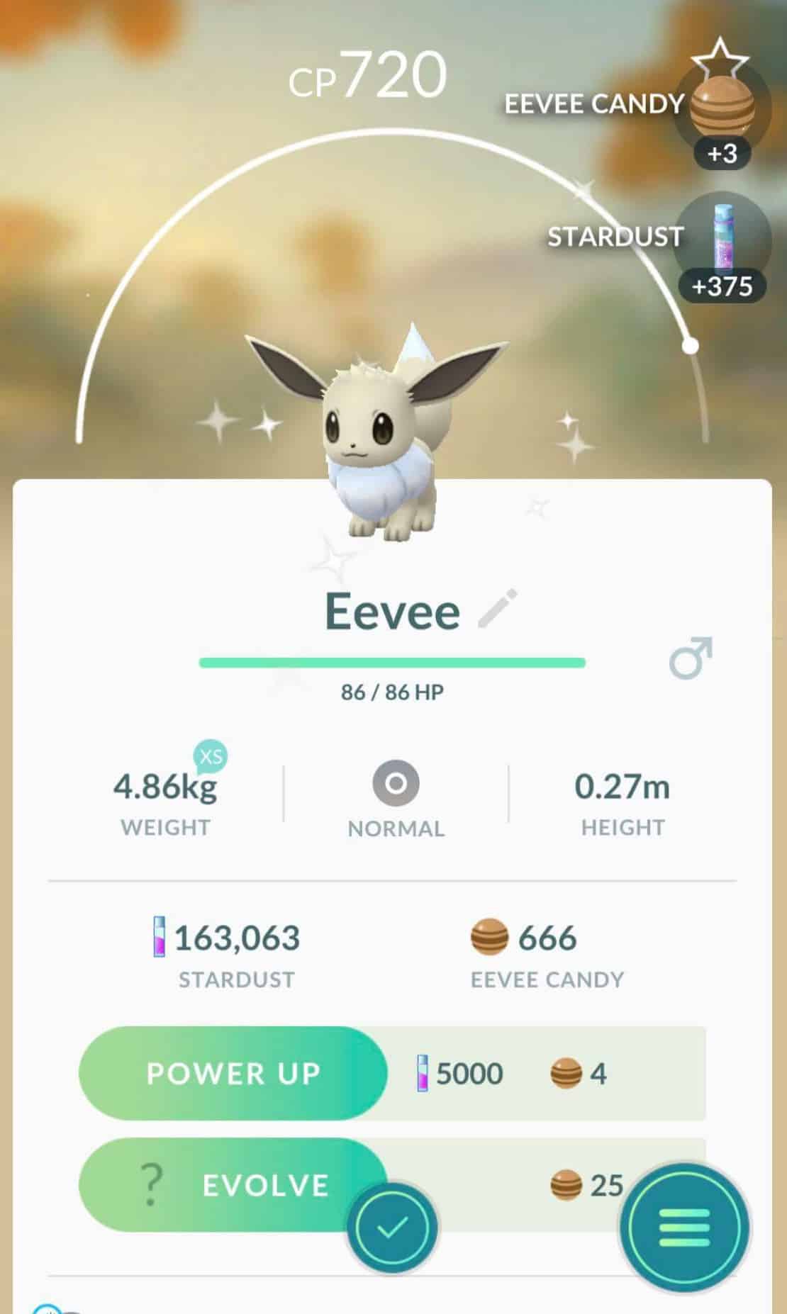 shiny eevee first community day sale boxes
